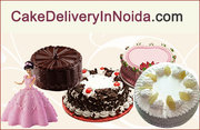 Sweeten Your Life with the Taste of Delicious Cakes